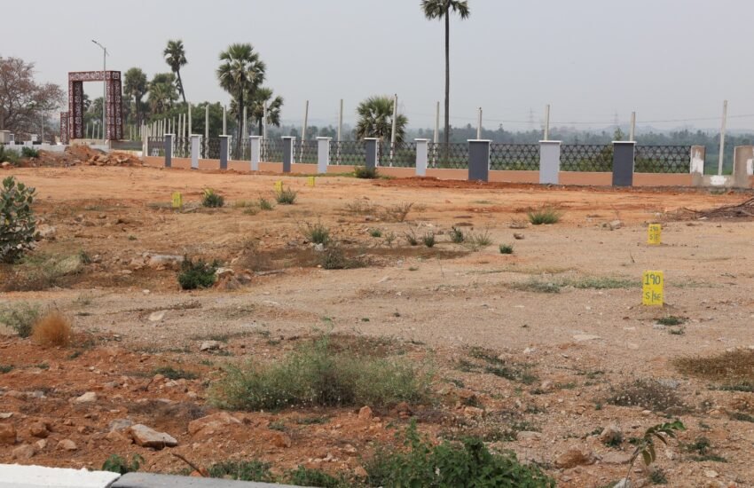 WhatsApp Image 2026-02-18 at 4.25.33 PM